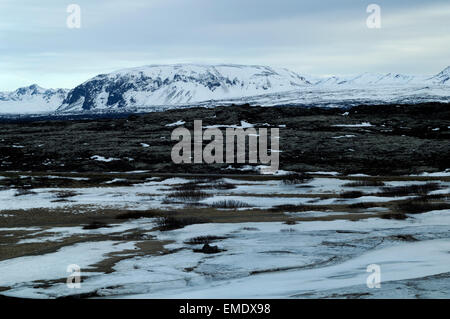 Blick über Thingvellir National Park Stockfoto