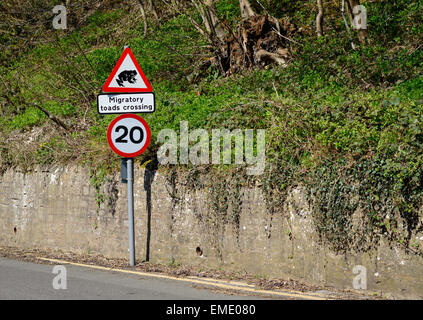 Ein Schild warnt Fahrer, die wandernden Kröten über die Straße davor hüten. In Shirebrook, Nottinghamshire, England. Am 20. April Stockfoto