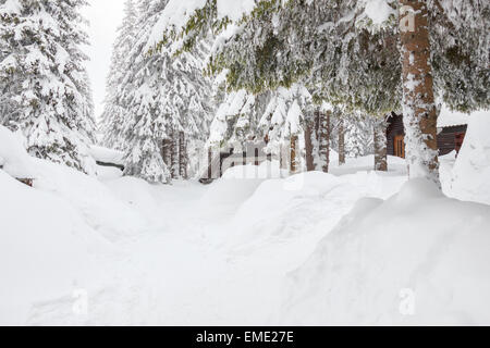 Wald mit Nadelbäumen bedeckt Schnee und Winter Straße, Schnee-bedeckten Blockhütten. Stockfoto