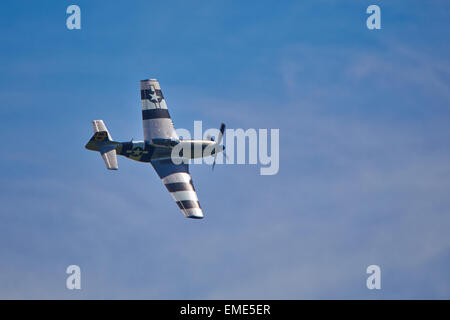 P51 Mustang Jagdflugzeug fliegt über dem Santa Pod Raceway in Podington Stockfoto