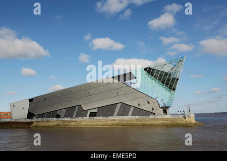 Die tiefen Aquarium im Rumpf neben dem River Hull und Humber Mündung UK Stockfoto