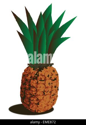 Ananas Stock Vektor