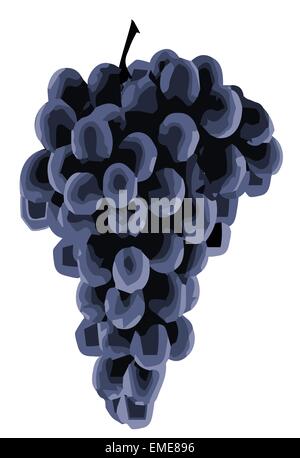 Schwarzen Trauben Stock Vektor