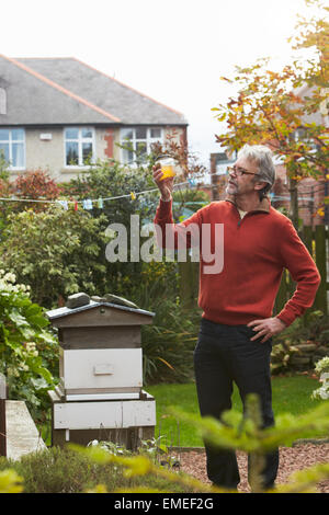 Reifer Mann Honig produziert durch seine eigenen Bienen zu betrachten Stockfoto