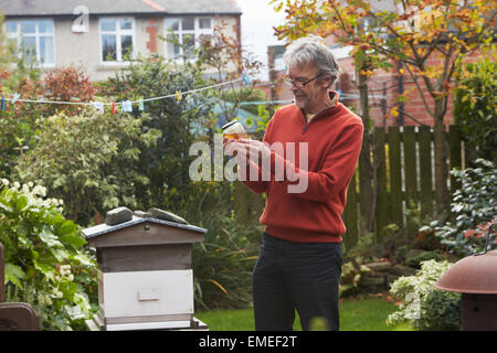 Reifer Mann Honig produziert durch seine eigenen Bienen zu betrachten Stockfoto