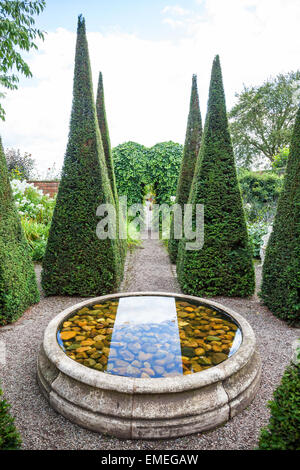 Abgeschnitten eibe Turmspitzen und gut bei Wollerton alte Halle Gärten garten Wollerton Market Drayton Shropshire England Großbritannien Stockfoto