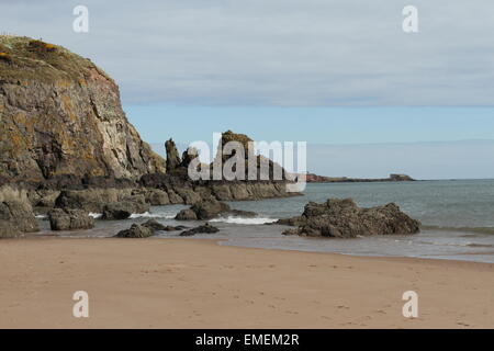 Strand in lunan Bay angus Schottland april 2015 Stockfoto