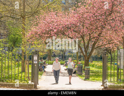 Im Herzen von Bloomsbury liegt London, Tavistock Square, gegenüber das Hauptquartier der BMA. Stockfoto