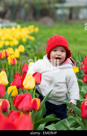 Entzückende Kleinkind Mädchen sammeln Tulpen Stockfoto