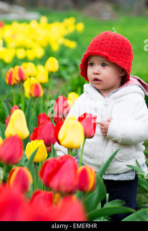 Entzückende Kleinkind Mädchen sammeln Tulpen Stockfoto