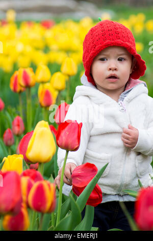 Entzückende Kleinkind Mädchen sammeln Tulpen Stockfoto