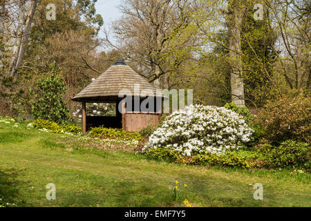 High Beeches Garten Handcross West Sussex UK im April Stockfoto