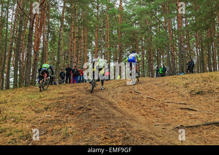 Die Republik Belarus Championship der Langlauf Radsport 19.10. 2014 - der Waldroute. Männer fahren Rennen Bühne. Stockfoto