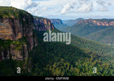 Grose Valley - Blue Mountains National Park - NSW - Australien Stockfoto