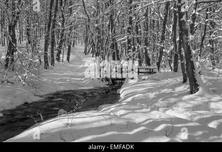 Bach im Winterwald in kleinen Karpaten Berge - Slowakei Stockfoto