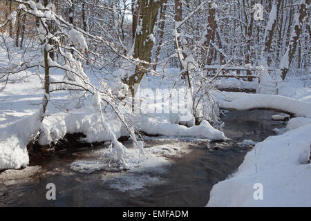 Bach im Winterwald in kleinen Karpaten Berge - Slowakei Stockfoto