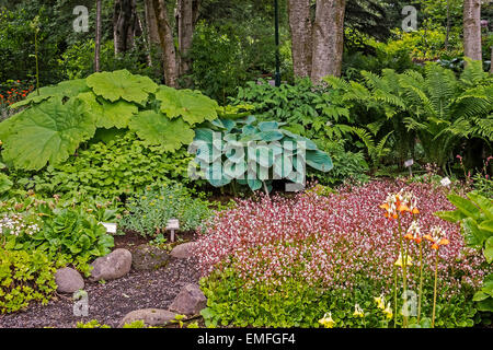 Botanischer Garten Akureyri Island Stockfoto