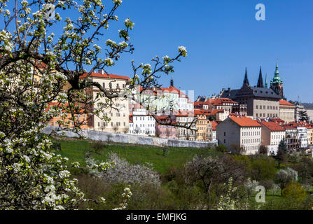 Blick auf die Prager Burg vom Kloster Strahov, blühende Bäume, Frühling, Panorama des Stadtteils Hradcany Stockfoto