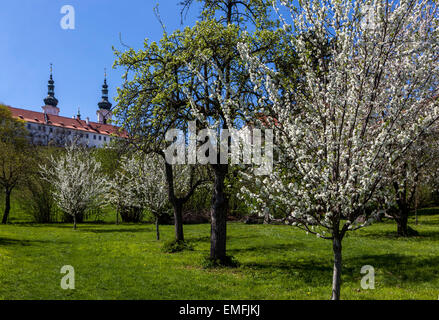 Blick auf das Prager Kloster Strahov vom blühenden Garten Prag, Tschechien Stockfoto