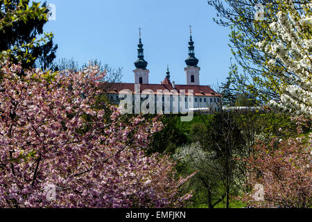Blick auf das Prager Kloster Strahov vom blühenden Garten Prag, Tschechien Stockfoto