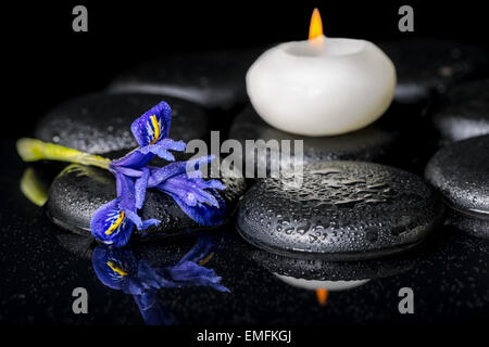 wunderschöne Spa-Konzept der blühende Iris Blume, Kerzen und schwarzen Zen Steinen auf Spiegelung Wasser, Nahaufnahme Stockfoto