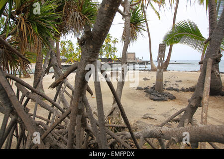 Geschnitzten Tiki Götter im Puuhonua O Honaunau (Stadt der Zuflucht) National Park, big Island von Hawaii Stockfoto