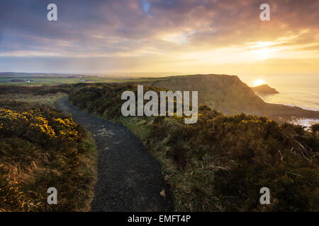 Oberen Felsenweg über den Giant's Causeway bei Sonnenuntergang, Co. Antrim, Nordirland Stockfoto