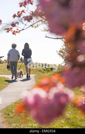 Bournemouth, Dorset, UK 21. April 2015.  Blick durch die rosa Blüten auf zwei Frauen zu Fuß Hund auf die rührende bei Alum Chine, Bournemouth im April Credit: Carolyn Jenkins/Alamy Live News Stockfoto