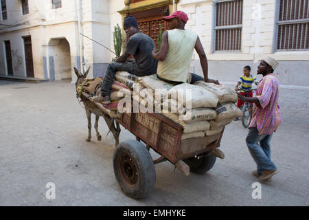 Transport von Zement von Eselskarren in Sansibar Stockfoto