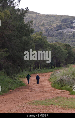 Zwei Wanderer auf Spuren in der Landschaft, neben Kiefer Wald, Andalusien, Südspanien. Stockfoto