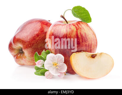Rote Äpfel mit Blumen isoliert auf weißem Hintergrund Stockfoto