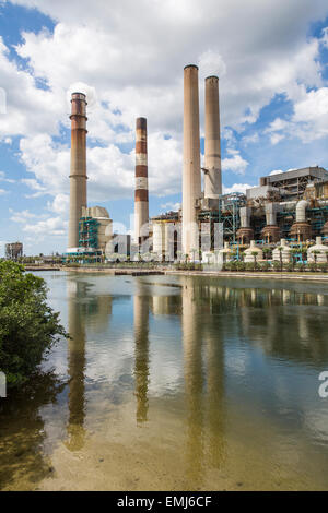 Big Bend Kraftwerk, Tampa Electric, Apollo Beach in Florida. Stockfoto