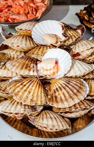 Frische Jakobsmuscheln zum Verkauf am Samstag Bauernmarkt In Heron Square, Richmond Upon Thames, London, England Stockfoto