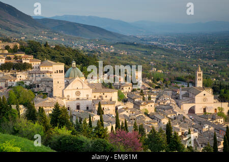 Blick auf Assisi, Umbrien, Italien Stockfoto