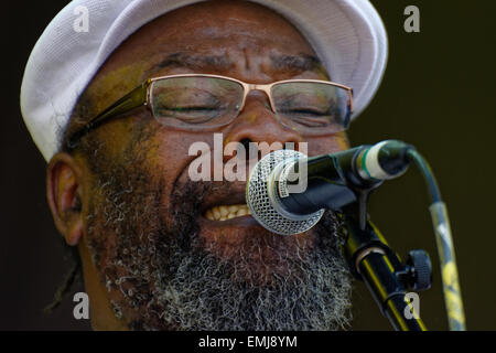 Clinton Fearon, Open Air Bühne, WOMAD 2014 in England. Stockfoto