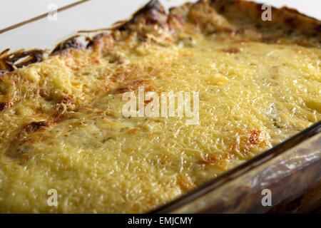 Nahaufnahme von Cannelloni mit Tomatensauce und Käse im tray Stockfoto