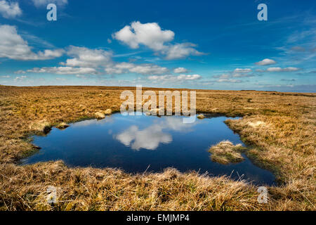 Wildschwein fiel, in der Nähe von Kirkby Stephen, Eden Valley, Cumbria, UK, mit Cloud Reflexion. Ein beliebtes Ausflugsziel für Wanderer. Stockfoto