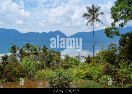 Lake Maninjau (Danau Maninjau) ist ein Kratersee in West-Sumatra, Indonesien. Stockfoto