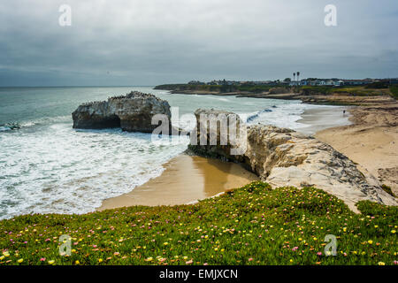 Blick auf Natural Bridges State Beach in Santa Cruz, Kalifornien. Stockfoto