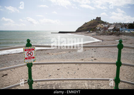 Zweisprachige Welsh / englische Schilder für saisonale Hund Zone Verbot von April bis September am Strand von Criccieth Stockfoto