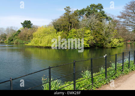 Roath Park See, Cardiff, Südwales, UK. Stockfoto