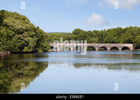 Bosherston Seen, Pembrokeshire, Wales Stockfoto