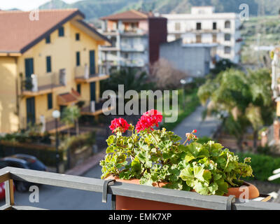 dekorative Blume Geranie im Topf auf Balkon des städtischen Haus in der Stadt Gaggi, Sizilien, Italien Stockfoto