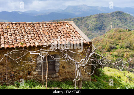 alte verlassene Landhaus in sizilianischen Berge im Frühling Stockfoto