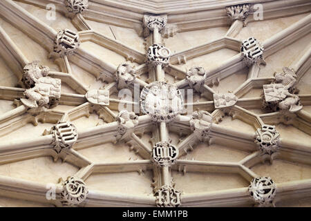 Decke detail, "Divinity School", [Bodleian Bibliothek], Oxford, England, UK Stockfoto