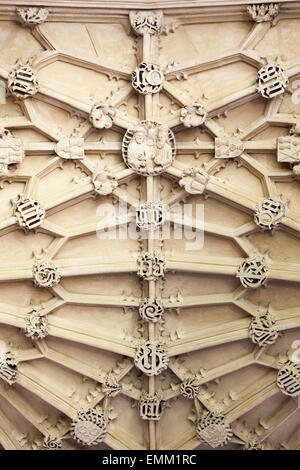 "Divinity School" Decke, [Bodleian Bibliothek], Oxford, England, UK Stockfoto