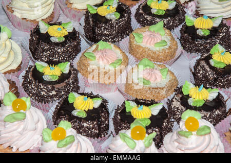 Gebäck-Tablett mit bunten und köstliches Gebäck Stockfoto