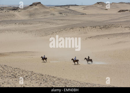 Pferde und Reiter in der Wüste neben den Pyramiden von Gizeh in Gizeh in der Nähe von Kairo, Ägypten, Afrika. Stockfoto