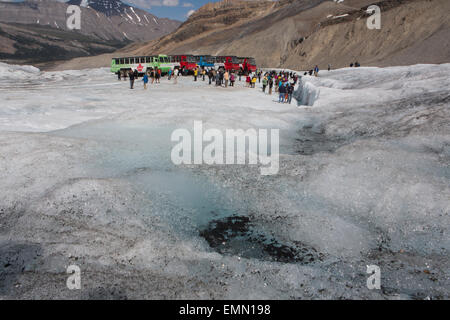 Gletscher gehen im Jasper-Nationalpark in den Rocky Mountains in Kanada Stockfoto