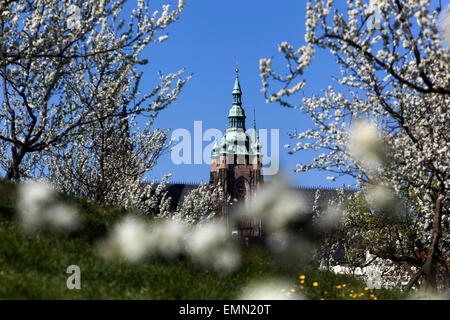Blick auf die Prager Burg von Petrin-Hügel blühen, romantischen Frühling, Prager Frühling, Tschechische Republik Stockfoto